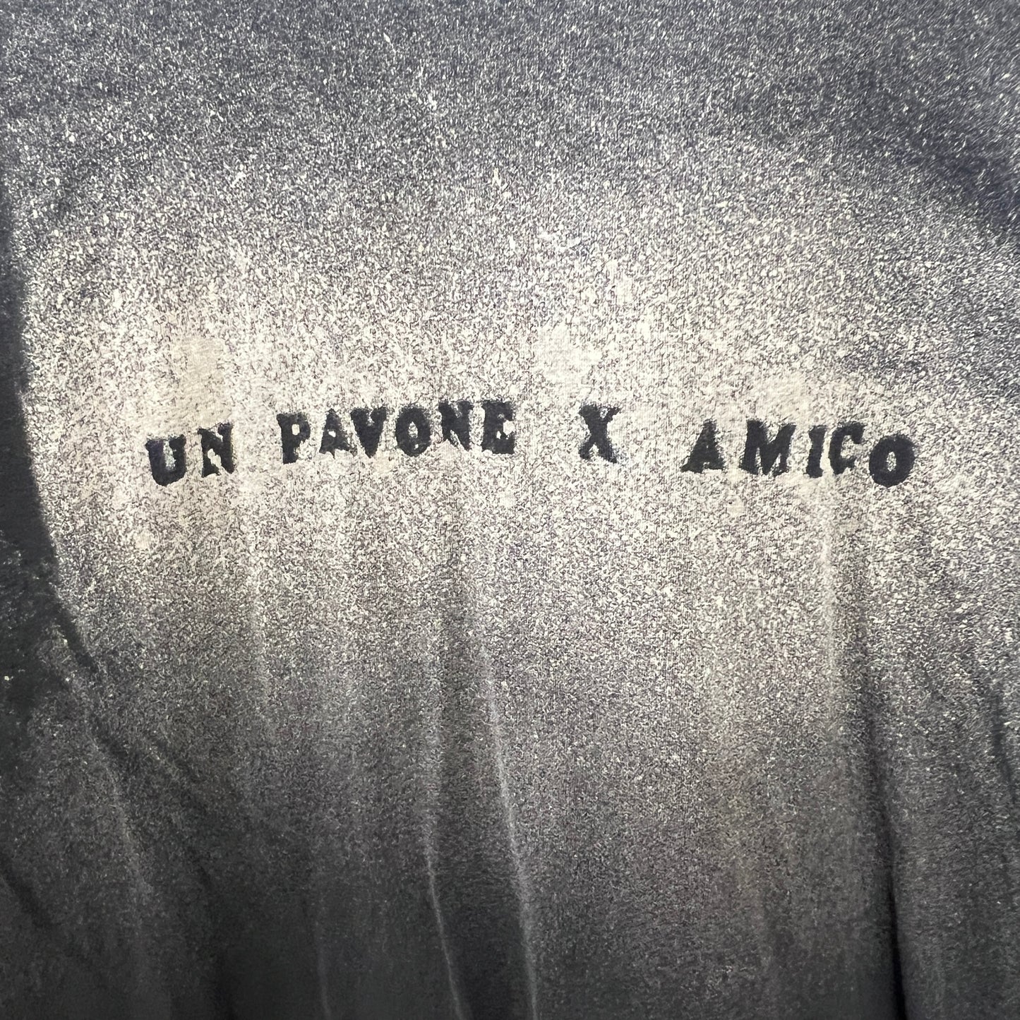 un pavone x amico - hand-bleached reworked second-hand tshirt