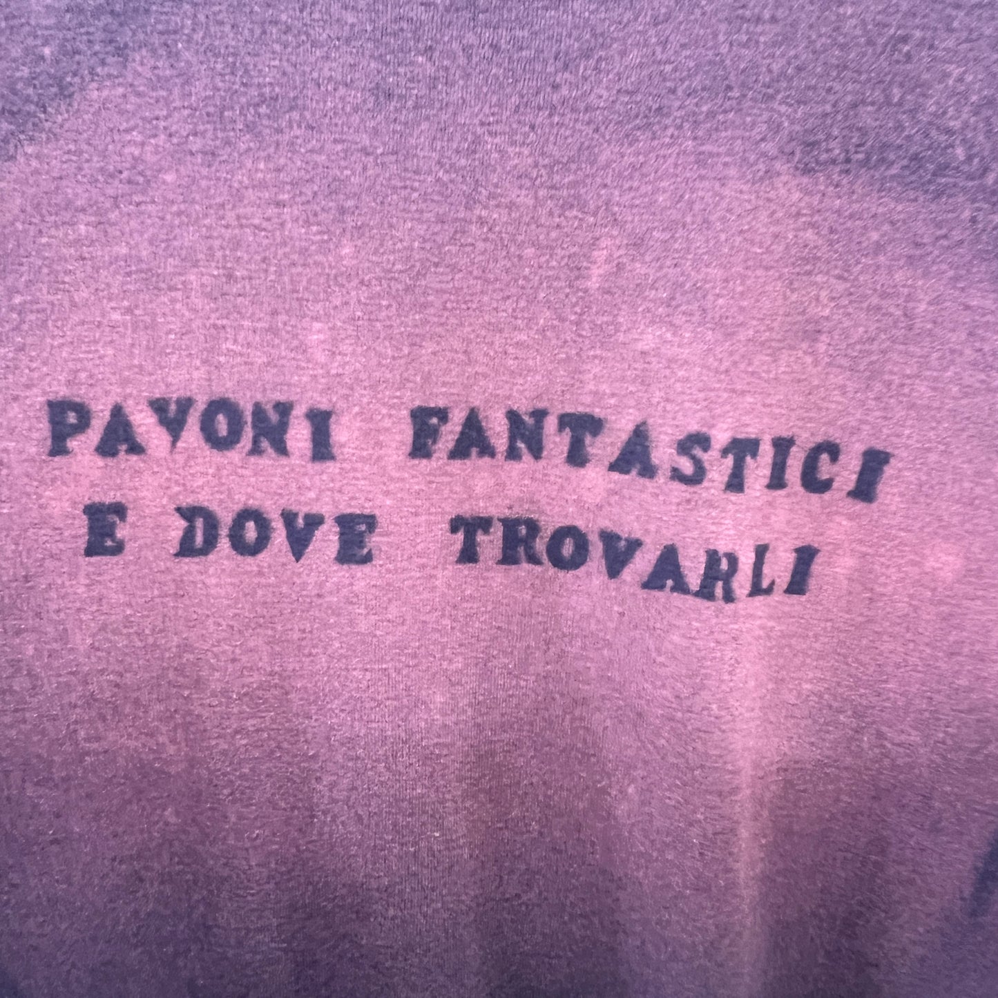 pavoni fantastici e dove trovarli - hand-bleached reworked second-hand tshirt